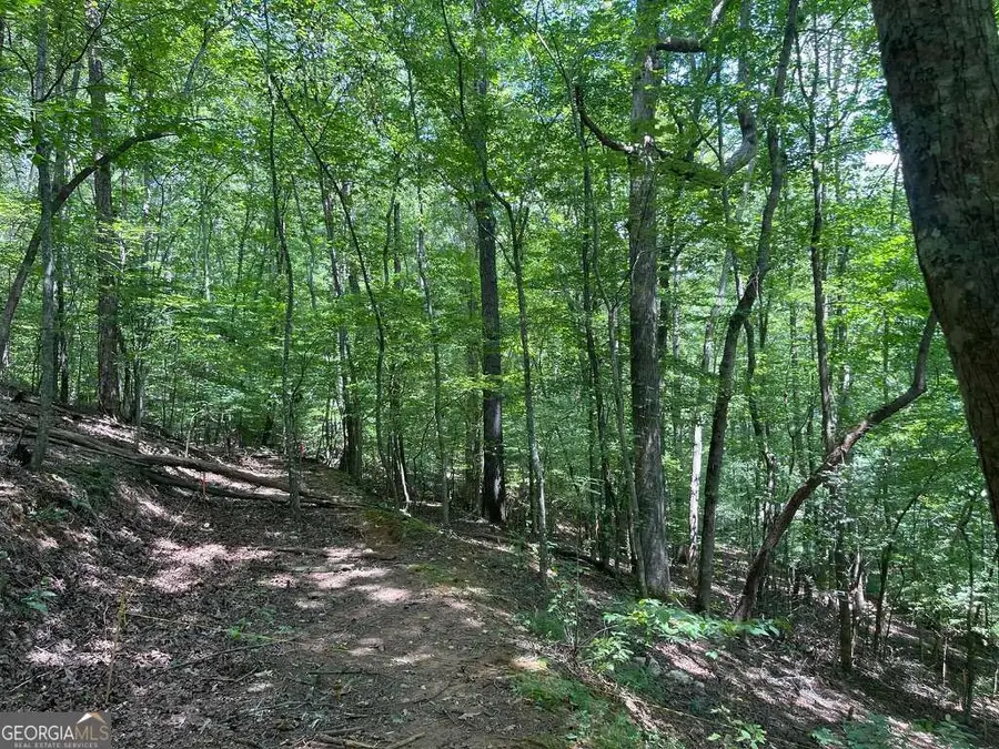 LOT 223 Bowline Drive #223, Ellijay, GA 30540 - #2