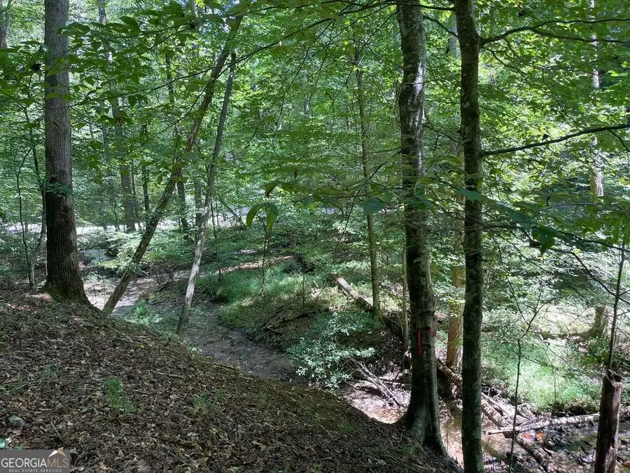 LOT 223 Bowline Drive #223, Ellijay, GA 30540 - #3