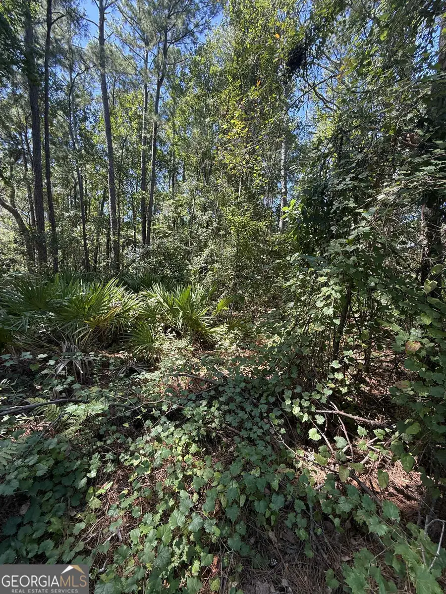 411 Brentwood Circle, Brunswick, GA 31523 - Image #3