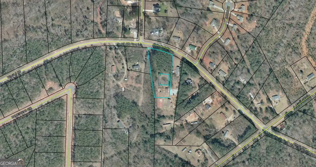 0 Tingle Road, Forsyth, GA 31029 - Image #1