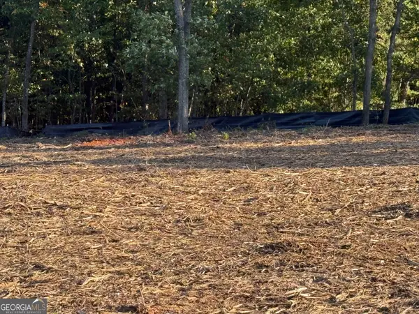 3980 Highway 5, Douglasville, GA 30135