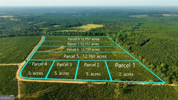 PARCEL 1 Whipporwill Road, Reynolds, GA 31076