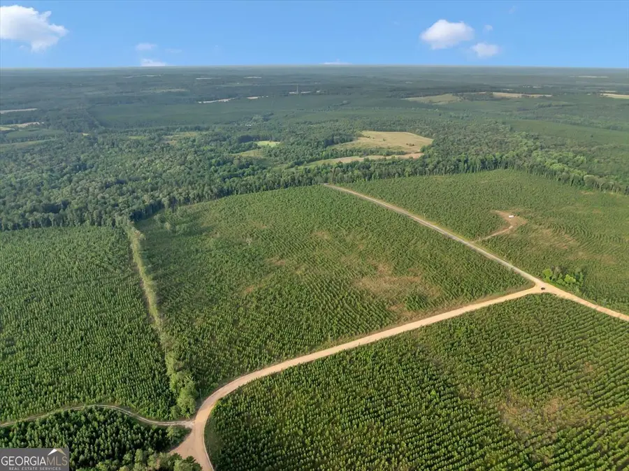 PARCEL 3 Whipporwill, Reynolds, GA 31076 - Image #3