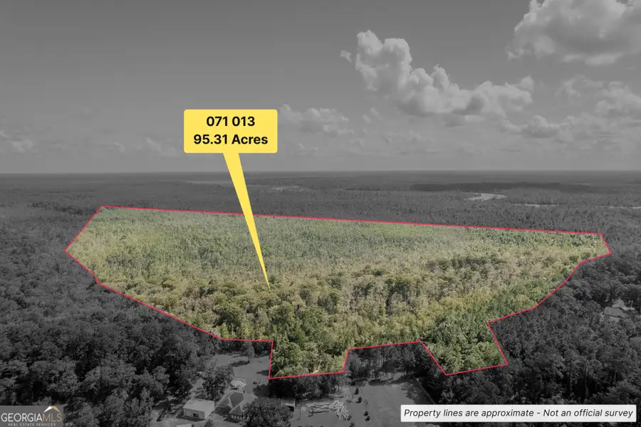 V/L 2 Freebird Estates Clarks Bluff Road, Kingsland, GA 31548 - Image #2