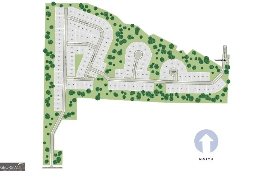 265 Sequoia Lane, Dawsonville, GA 30534 - Image #3