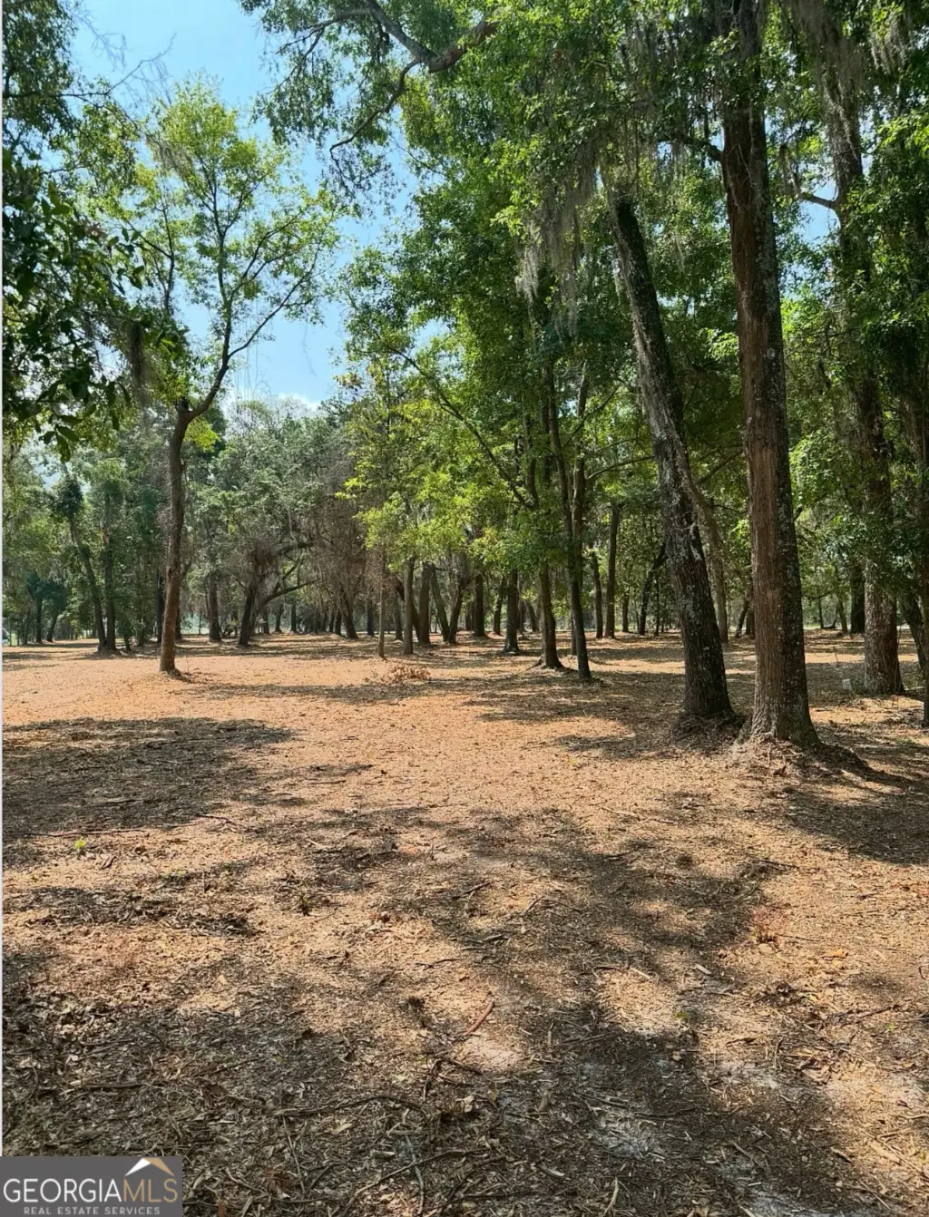 0 Pikes Pond Road, Lake Park, GA 31636 - Image #1