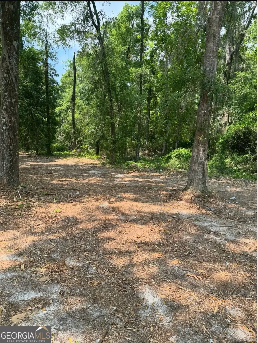 0 Pikes Pond Road, Lake Park, GA 31636 - Image #2