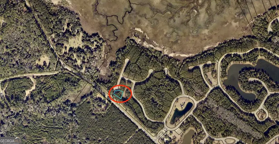 LOT 13 Grays Reef Court, Waverly, GA 31565 - Image #2
