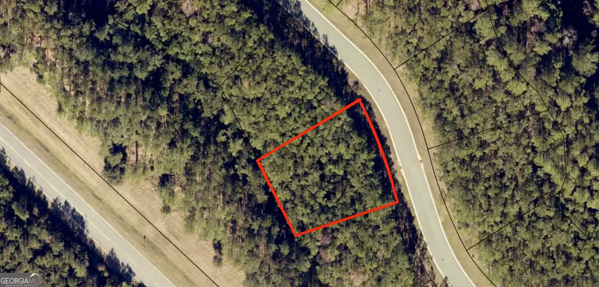 LOT 5 Sea Turtle Lane, Waverly, GA 31565 - Image #1