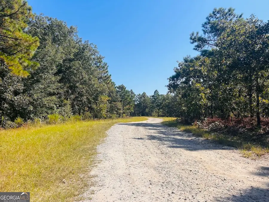 6842 Ga Highway 240 #TRACT 1, Box Springs, GA 31801 - Image #3