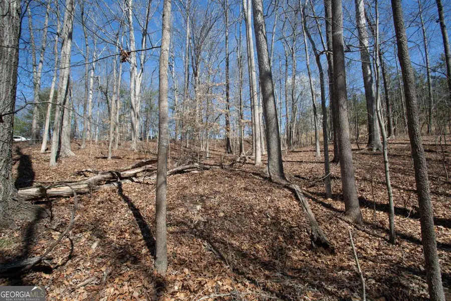 #25 3022 Waterford Drive, Gainesville, GA 30504 - Image #2