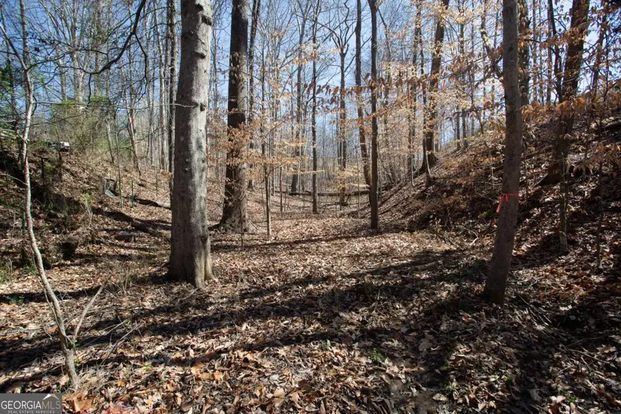 #25 3022 Waterford Drive, Gainesville, GA 30504 - Image #3