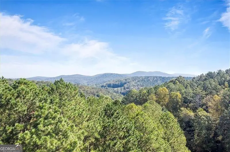 72 Mountain Creek Hollow, Talking Rock, GA 30175 - Image #3