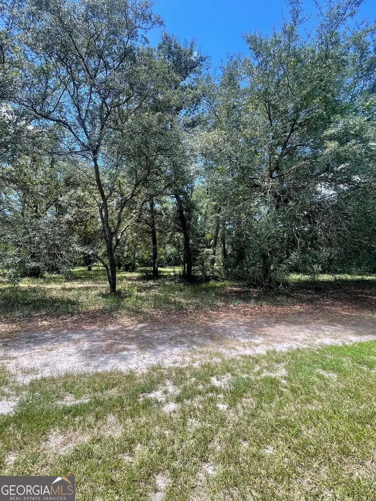 LOT 1A-13 Coopers Point Drive, Townsend, GA 31331 - Image #1