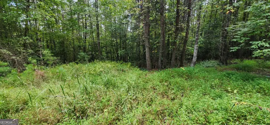 LOT 45 Old Mill Pond Road, Mineral Bluff, GA 30559 - Image #2