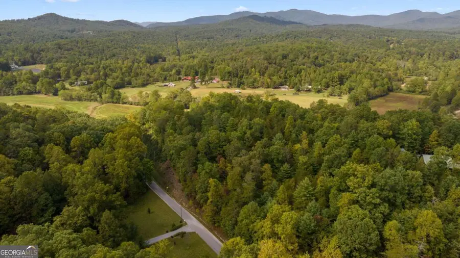 1.34 AC Laurel Springs Road, Mineral Bluff, GA 30559 - Image #3