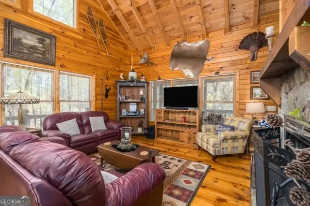 191 Mountain View Road, Ellijay, GA 30540 - #3