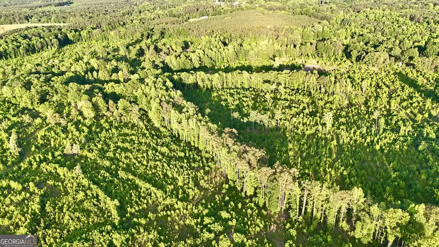 1078 Lithonia Church Road, Norwood, GA 30821 - Image #2