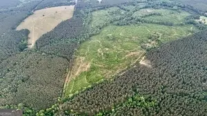 1 Lithonia Church Road, Norwood, GA 30821 - Image #3