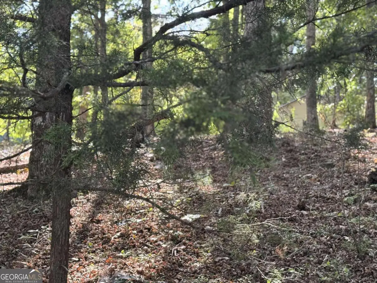 0 Cagle Road Ne, Fairmount, GA 30139 - Image #1