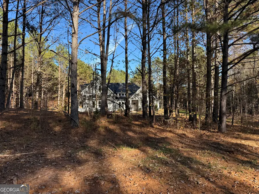 98 Mud Bridge Road, The Rock, GA 30285 - Image #3