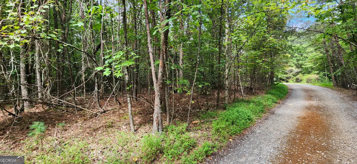 LT 14,15 Donna Lee Lane, Mineral Bluff, GA 30559 - Image #1
