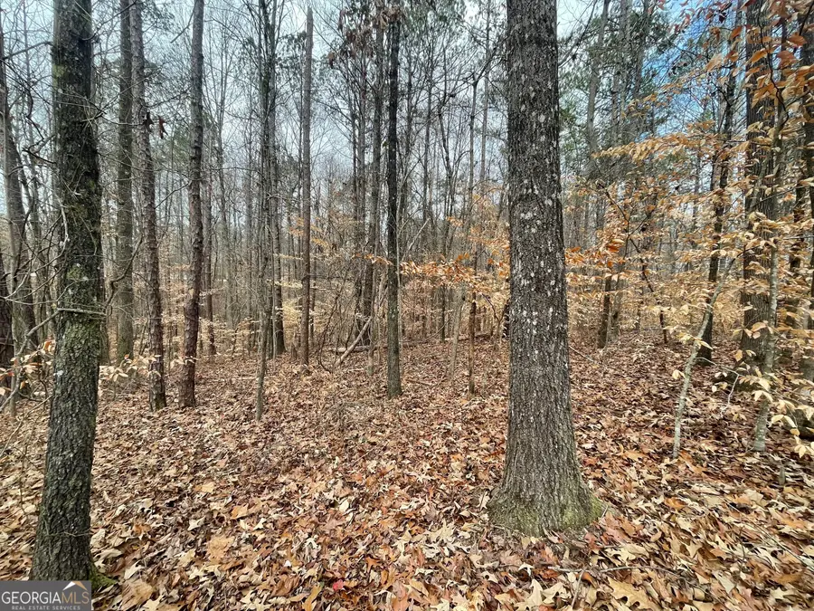 0 Us Hwy 100, Franklin, GA 30217 - Image #3