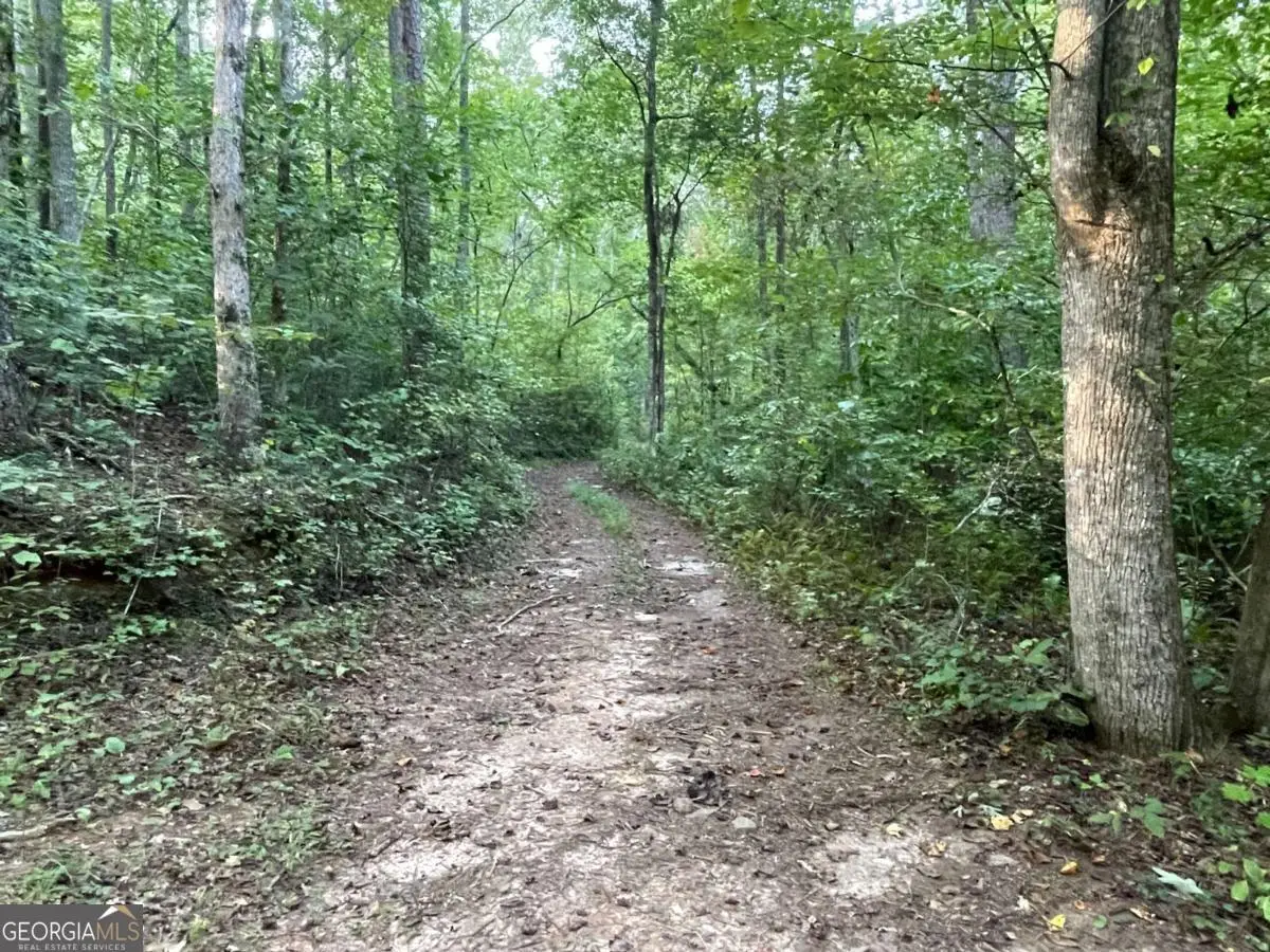 201 Black Bear Trace, Dawsonville, GA 30534 - Image #1