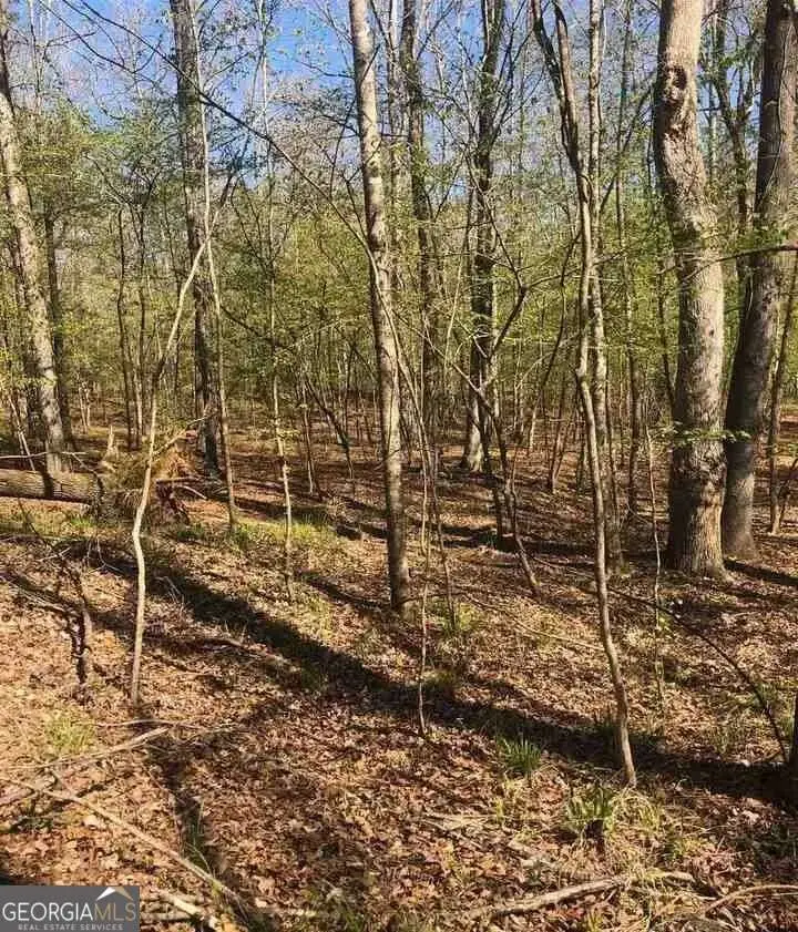 0 Ingram Road, Sparta, GA 31087 - Image #3