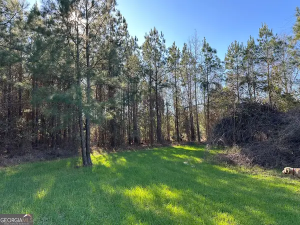 012 Mt Zion Road, Gordon, AL 36343