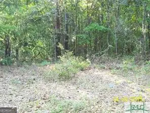 0 Salt Creek Road, Savannah, GA 31405 - Image #1