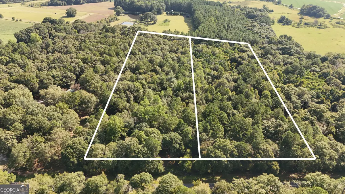 LOT 224 Chula Brookfield Road, Tifton, GA 31794 - Image #1