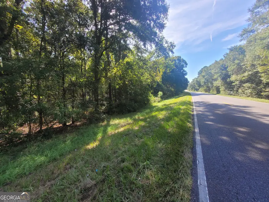 LOT 224 Chula Brookfield Road, Tifton, GA 31794 - Image #3