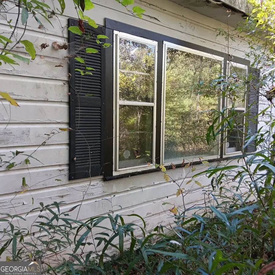 4377 Rock Mills Road, Franklin, GA 30217 - Image #2