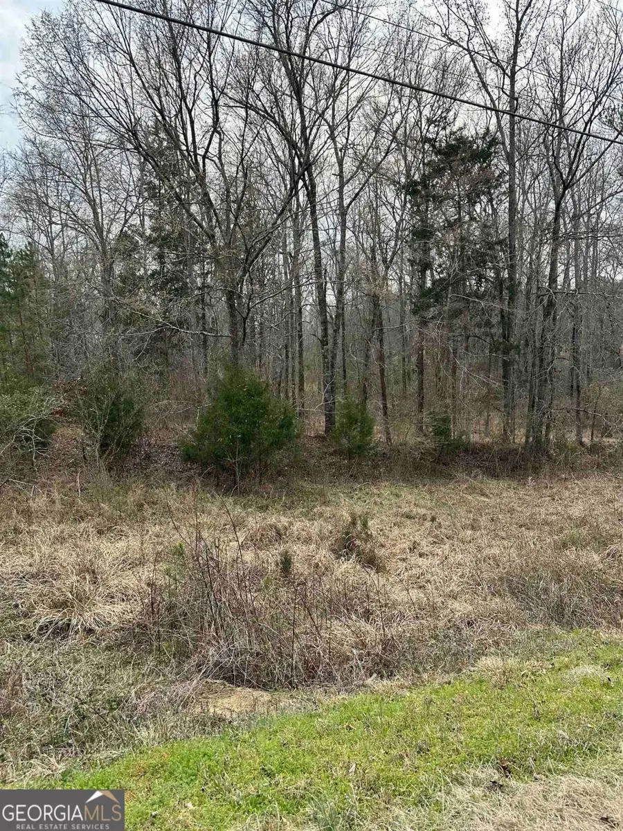LOT 15 Oconee Springs Road, Eatonton, GA 31024 - Image #3