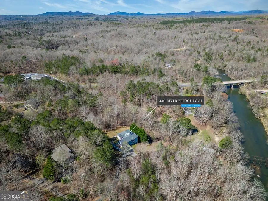 440 River Bridge Loop, Cornelia, GA 30531 - Image #3