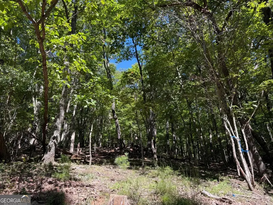 0 Moss Patch Trail, Jasper, GA 30143 - #2