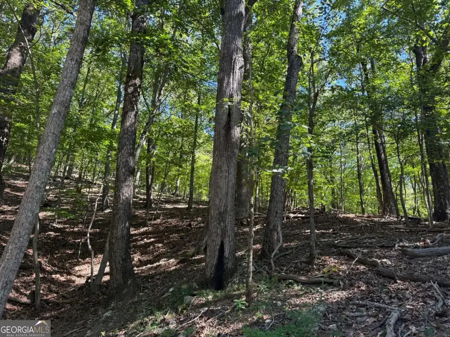 0 Moss Patch Trail, Jasper, GA 30143 - #3