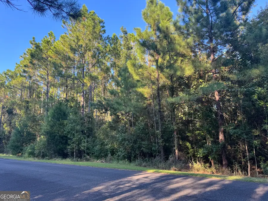 LOT 61 Magnolia Plantation, White Oak, GA 31568 - Image #2