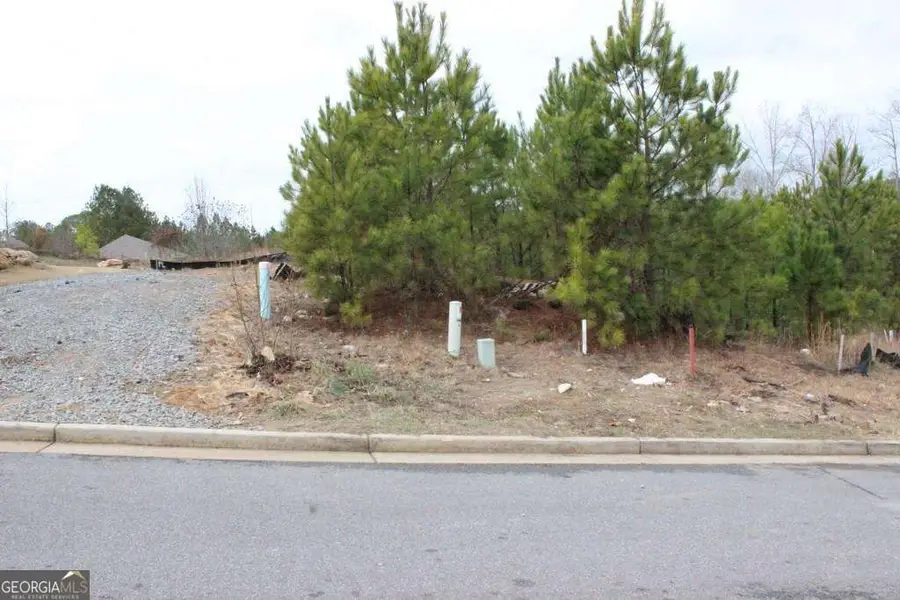 2 LOTS Park Lane, Woodstock, GA 30188 - Image #2