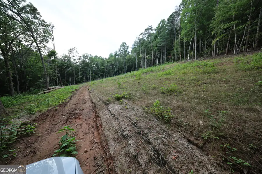 0 John Beck Dockins, Rabun Gap, GA 30568 - Image #3