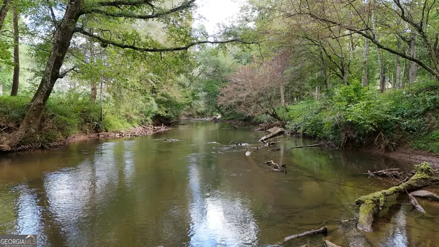 264 River Fields Drive, Clarkesville, GA 30523 - Image #3