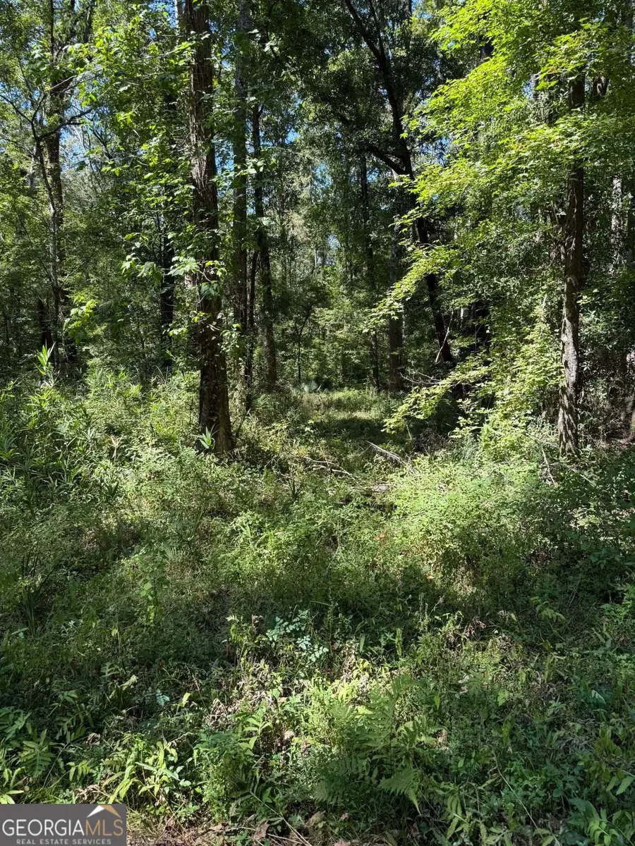 0 Charles Lane, Springfield, GA 31329 - Image #3