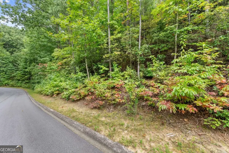 0 Yates Circle #358, Clarkesville, GA 30523 - Image #3