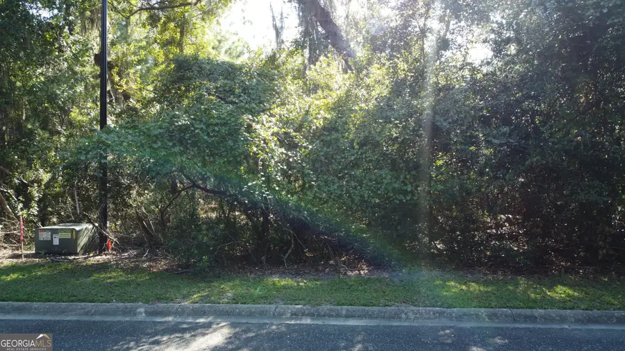0 Overhand Court, Saint Marys, GA 31558 - Image #2