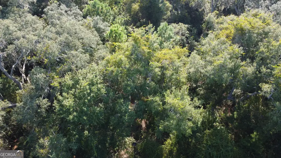 0 Overhand Court, Saint Marys, GA 31558 - Image #3