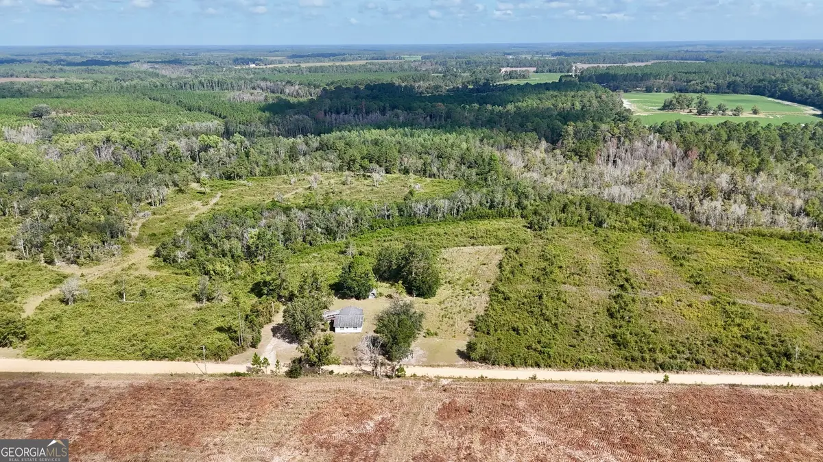 TRACT 2 Pine Cone Trail, Mershon, GA 31551 - Image #1