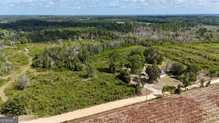 TRACT 2 Pine Cone Trail, Mershon, GA 31551 - Image #3