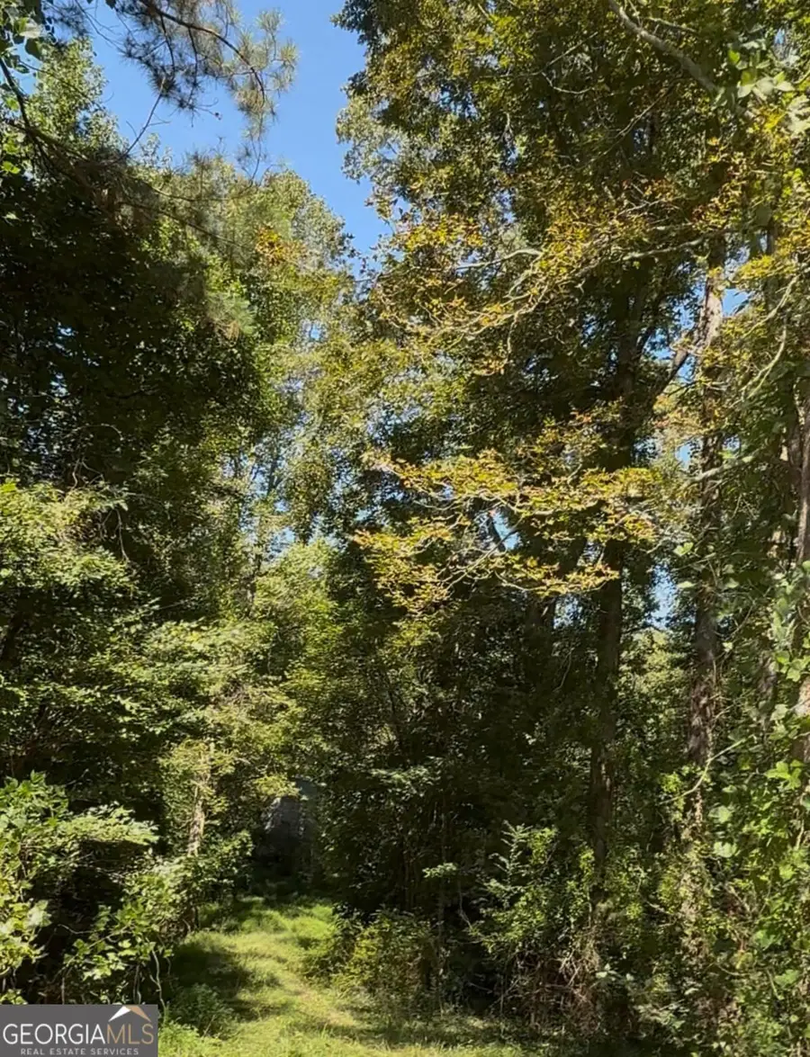 404 Haggard Drive, Danielsville, GA 30633 - Image #3