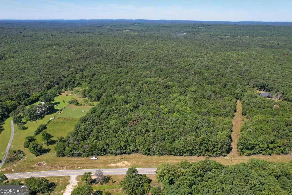 38 +/- Acres On Ga Hwy 157, Menlo, GA 30731 - Image #1